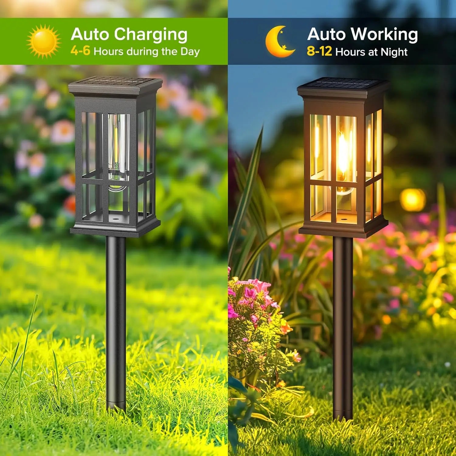 2/6/8 Pack Super Bright Solar Pathway Lights – Outdoor LED Lighting for Patio, Sidewalk, Garden & Yard Decor